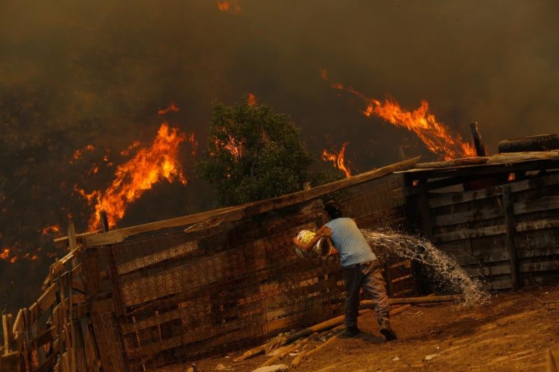 Un hombre arroja un balde con agua a las llamas en Las Rosas de Quilpué, donde numerosas casas han quedado destruidas.