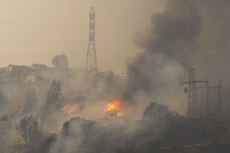 Incendios forestales en la zona de Canal Beagle, Viña del Mar,