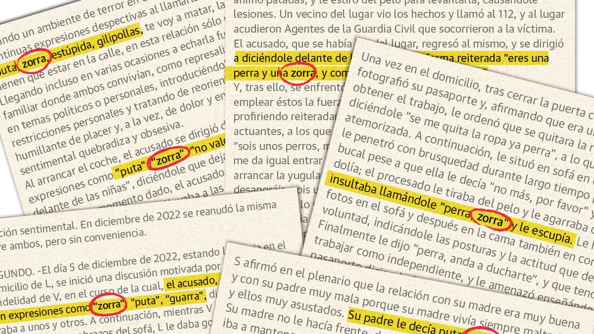 Zorra, el insulto más repetido en la violencia de género | El Correo