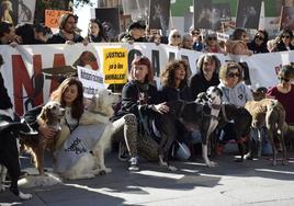 Una manifestación contra el uso de perros para cazar
