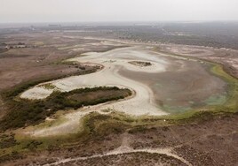 La laguna Santa Olalla, la mayor de Doñana, seca por segundo año en agosto pasado.