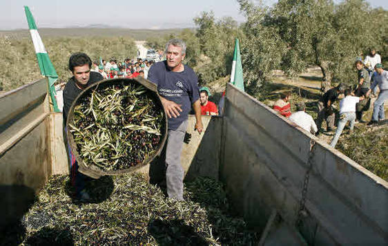 Trabajadores del campo.