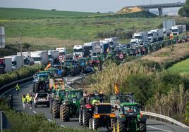 Concentraciones de agricultores en las carreteras de acceso de Sevilla.