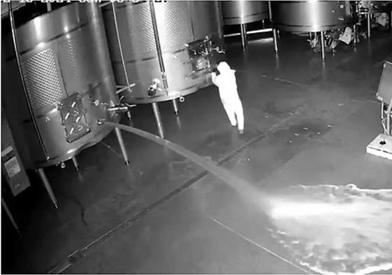 Captura del vídeo del sabotaje en la bodega Cepa 21.