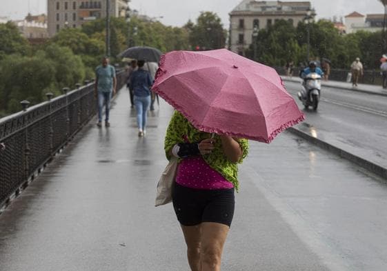 Varias personas caminan bajo sus paraguas