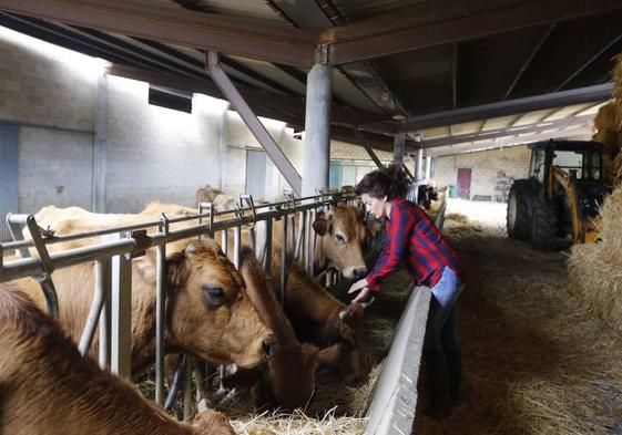 La ganadera Sonia Lejarza cuidando de sus vacas en su caserio de Zeberio.