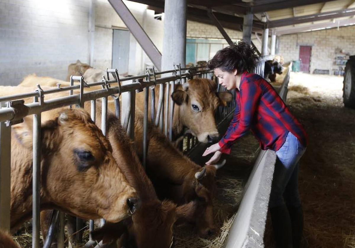 La ganadera Sonia Lejarza cuidando de sus vacas en su caserio de Zeberio.