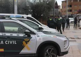 Policías y guardias civiles en la entrada de los juzgados de Cáceres esta mañana.