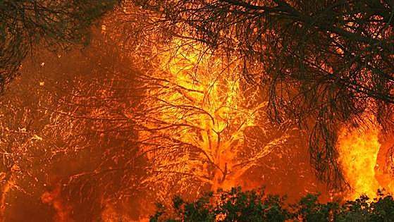 España es un «punto crítico» y no está preparada para el futuro climático
