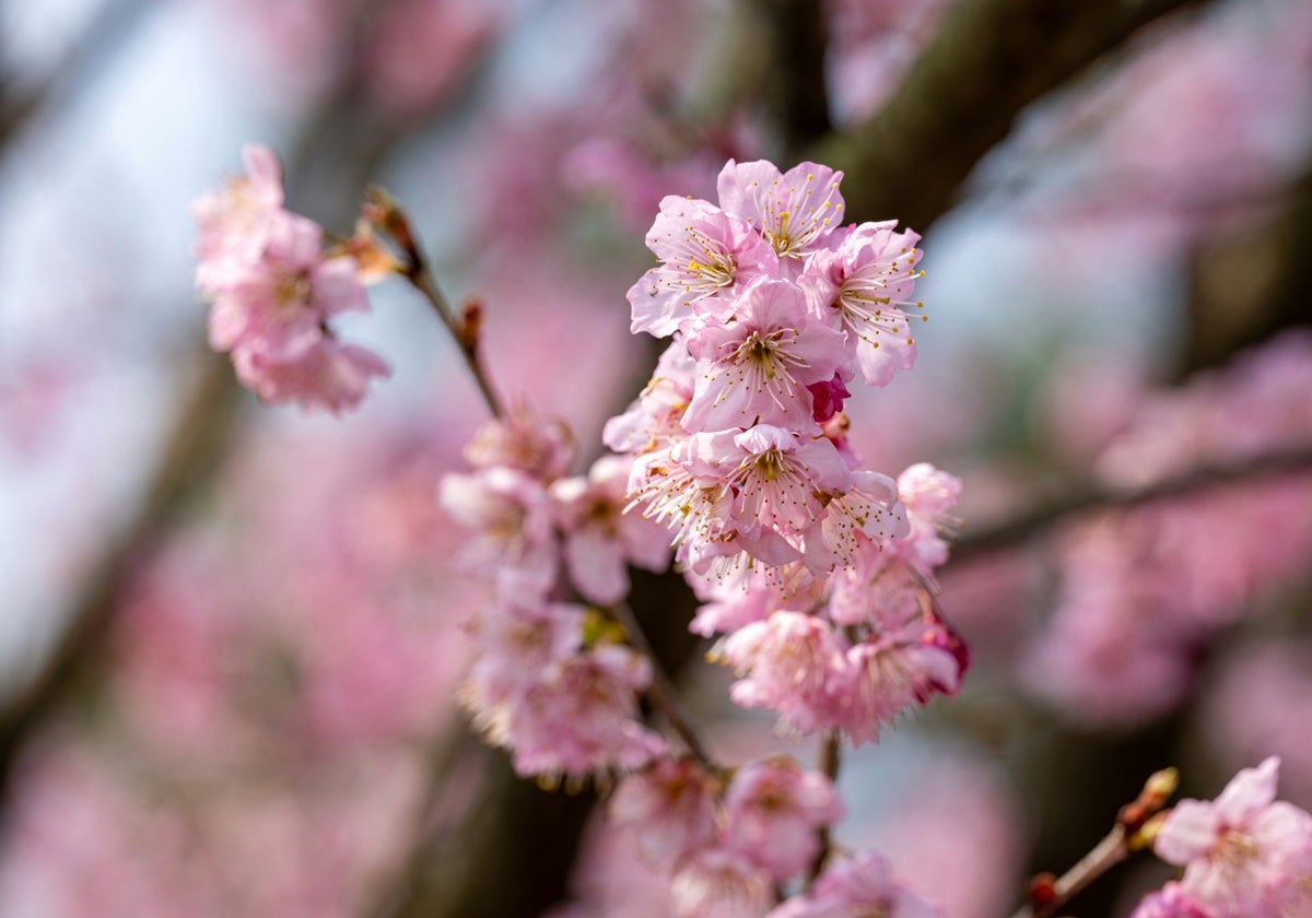 Los mejores productos para darle la bienvenida a la primavera