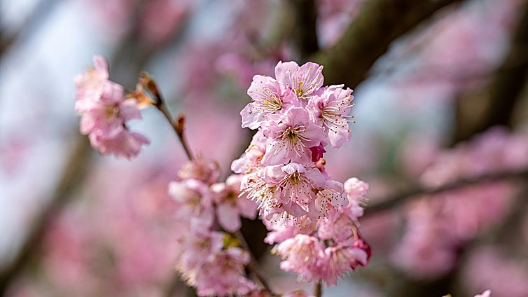 Los mejores productos para darle la bienvenida a la primavera