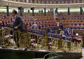 El Congreso de los Diputados.