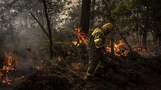 Bruselas endurece la ley y habrá cárcel para los que dañen el medioambiente
