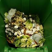 España tiró 2,8 millones de toneladas de comida a la basura en 2023