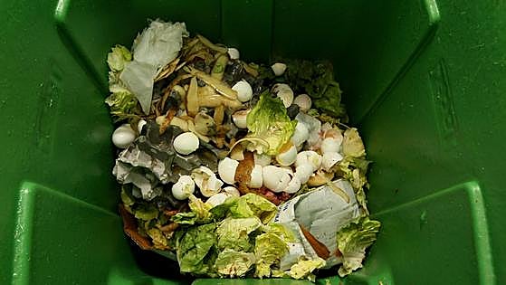 España tiró 2,8 millones de toneladas de comida a la basura en 2023