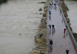 Varias personas pasean por el puente romano el domingo en Córdoba.