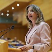 El PP registra su veto a la ley de amnistía en el Senado