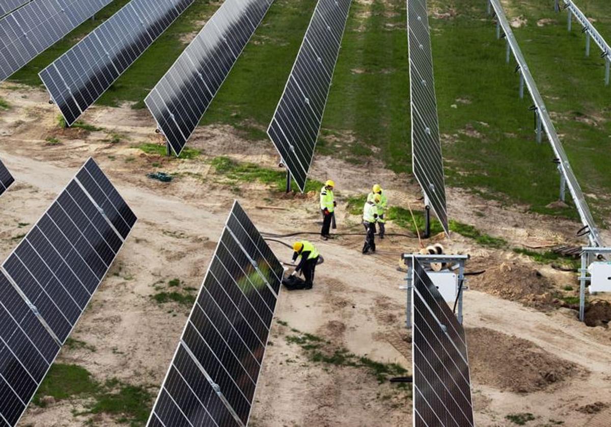 Imagen de una planta fotovoltaica.