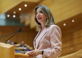 La portavoz del PP en el Senado, Alicia García.