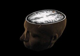 Imagen 3D de una sección del cerebro humano.