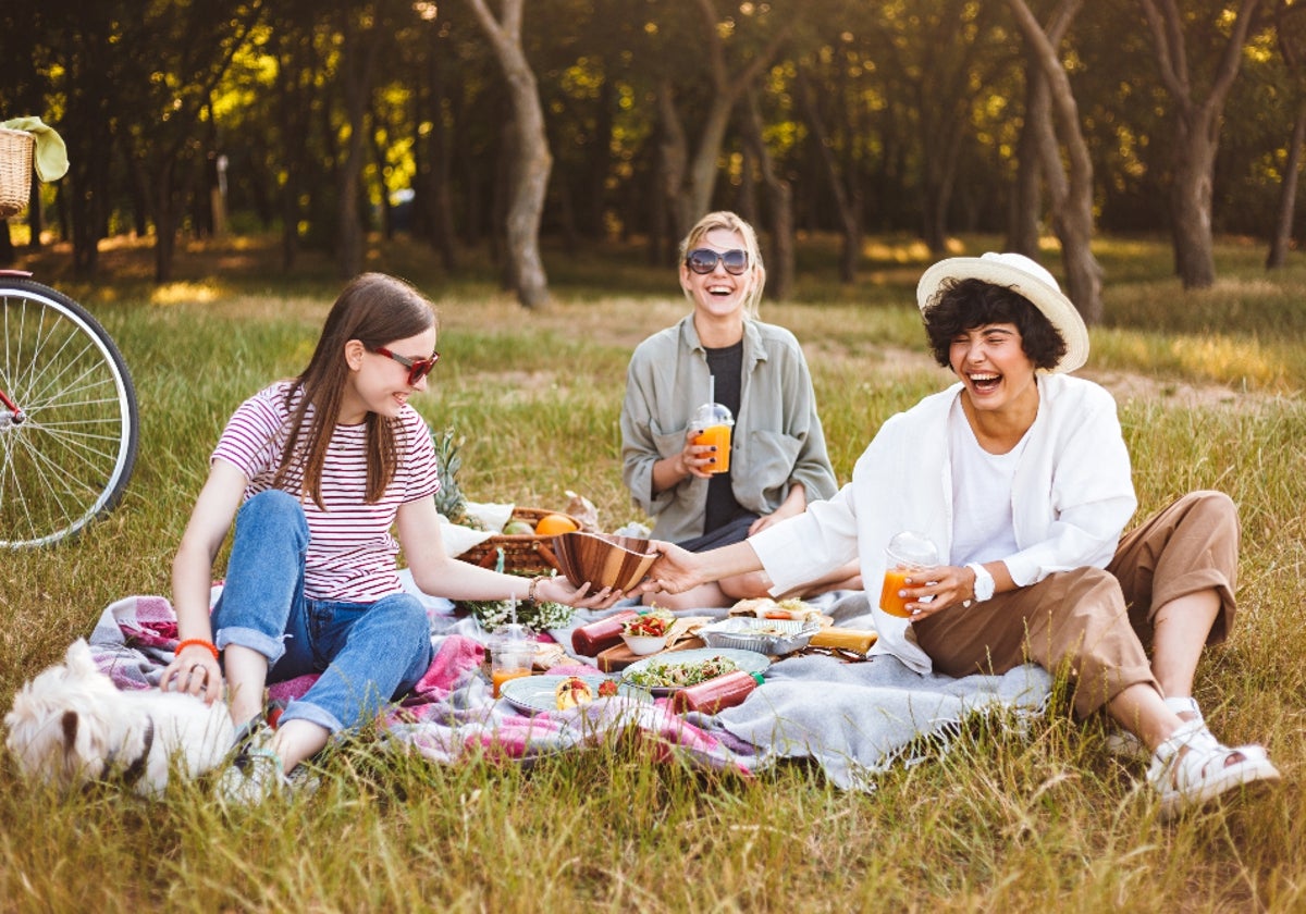 Toma nota de todo lo que necesitas para irte de picnic