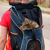 Lleva a tus amigos peludos a cualquier parte en primavera con estas mochilas