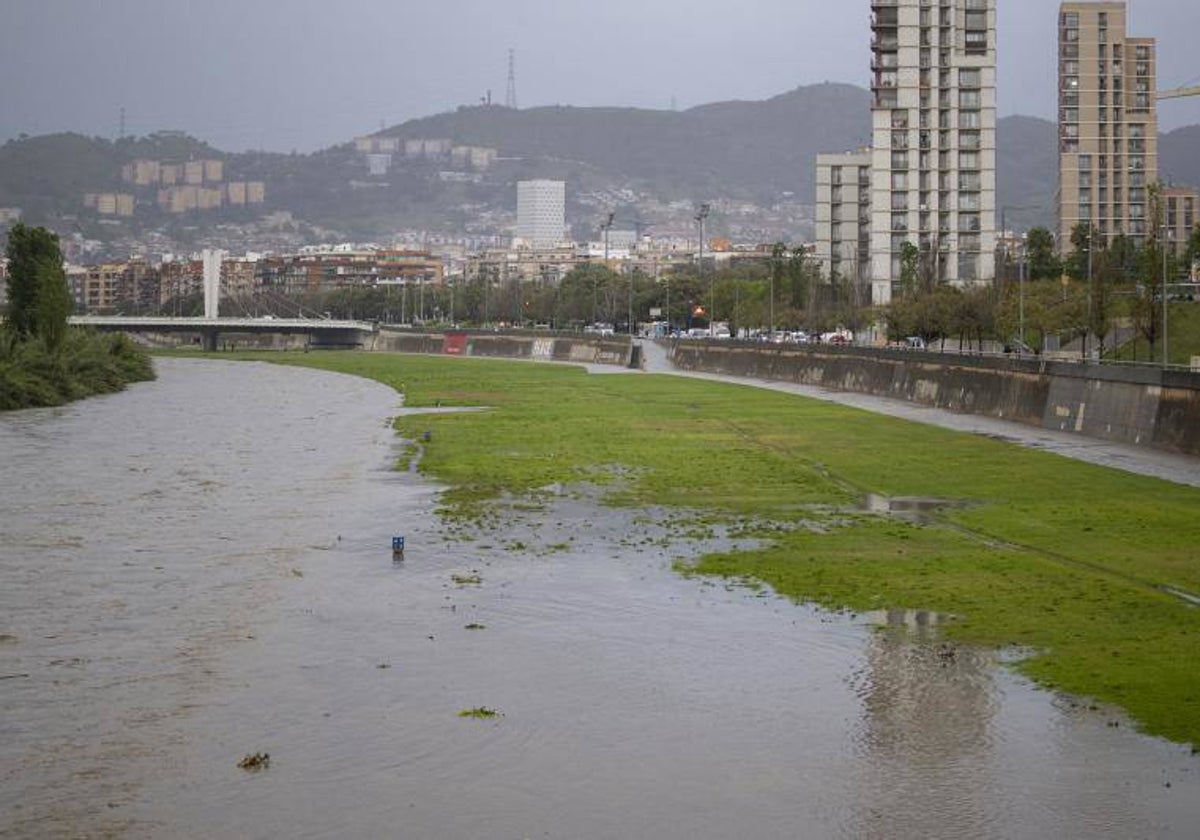 Crecida del río Besós tras las lluvias en Santa Coloma de Gramenet (Barcelona).