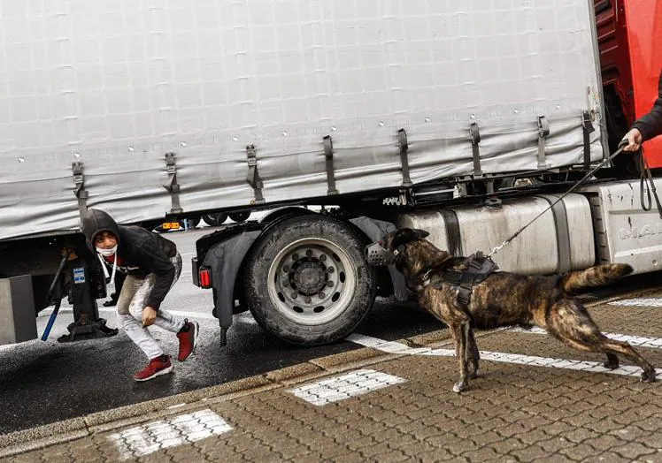 A police dog discovers a migrant under a truck bound for Ireland.