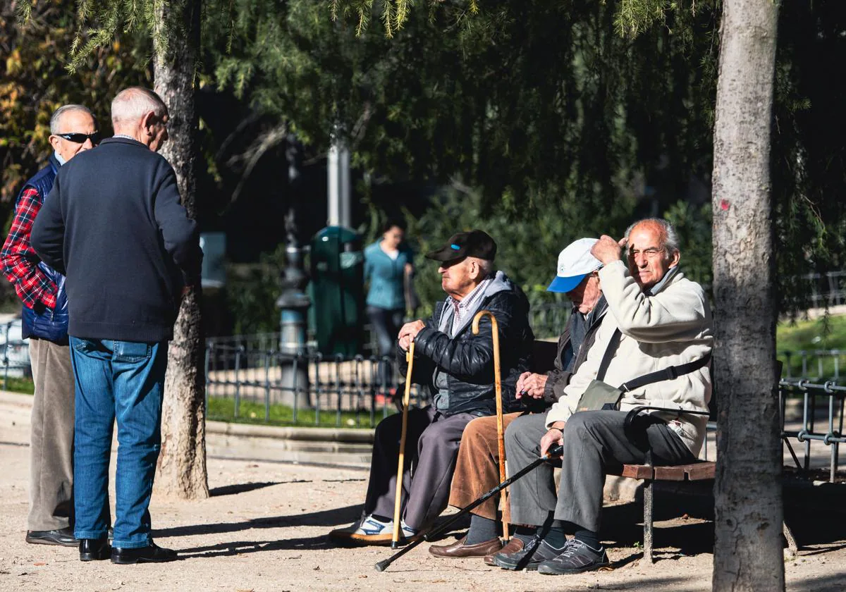 Un grupo de jubilados en un parque de Madrid.