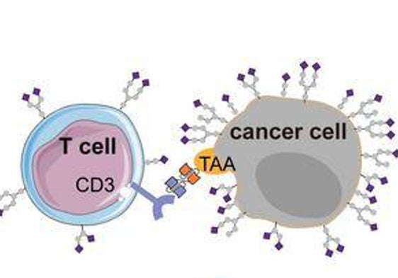 Investigadores anuncian una nueva técnica de «células asesinas naturales» contra los tumores sólidos