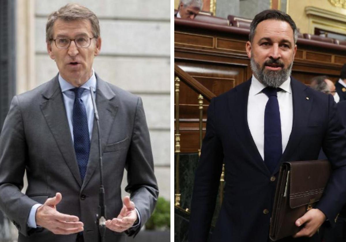 Alberto Núñez Feijóo y Santiago Abascal.