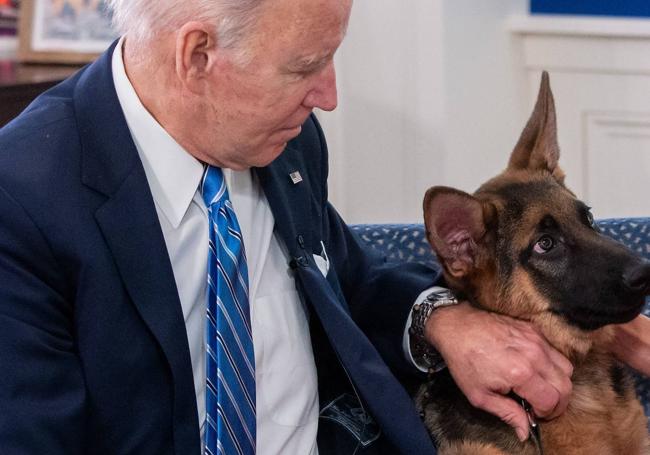 Joe Biden, junto a su perro 'Commander'.