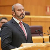Pedro Rollán, presidente del Senado.