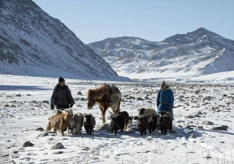 蒙古游牧民族的生活受到气候的影响。