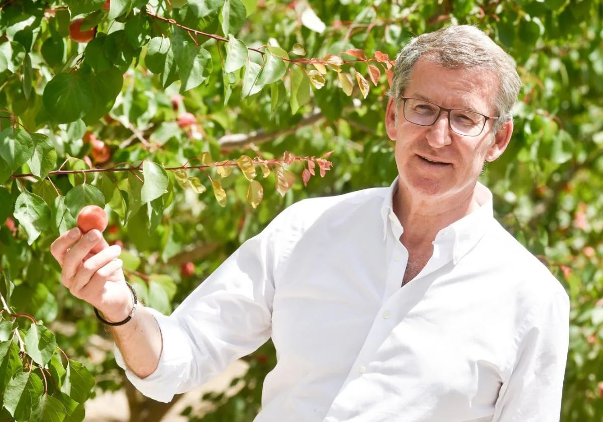 Alberto Núñez Feijóo, presidente del Partido Popular.