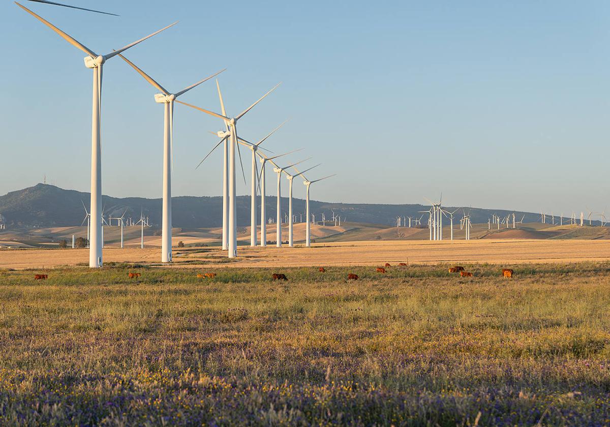 Parque eólico de Tahivilla de Acciona Energía.