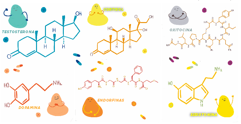 Dopamina, cortisol... seis hormonas que pueden mejorar tu vida (y cómo puedes 'fabricarlas')