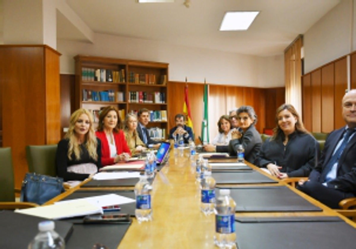 Los integrantes de la Comisión Permanente del CGPJ, al fondo el presidente interino Vicente Guilarte.