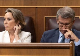 La secretaria general del PP, Cuca Gamarra, y el presidente del PP, Alberto Núñez Feijóo, durante la sesión de control en el Congreso