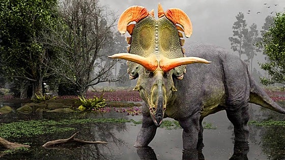 Herbívoro y con cuernos gigantes: así es Loki, un dinosaurio recién descubierto