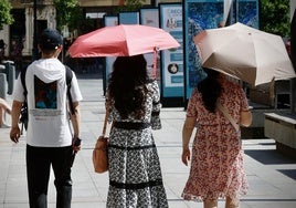 Varios turistas se cubren del sol con sombrillas mientras pasena este martes por Sevilla.