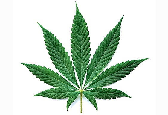 El lado oscuro de la marihuana: de paliar el dolor al riesgo de esquizofrenia