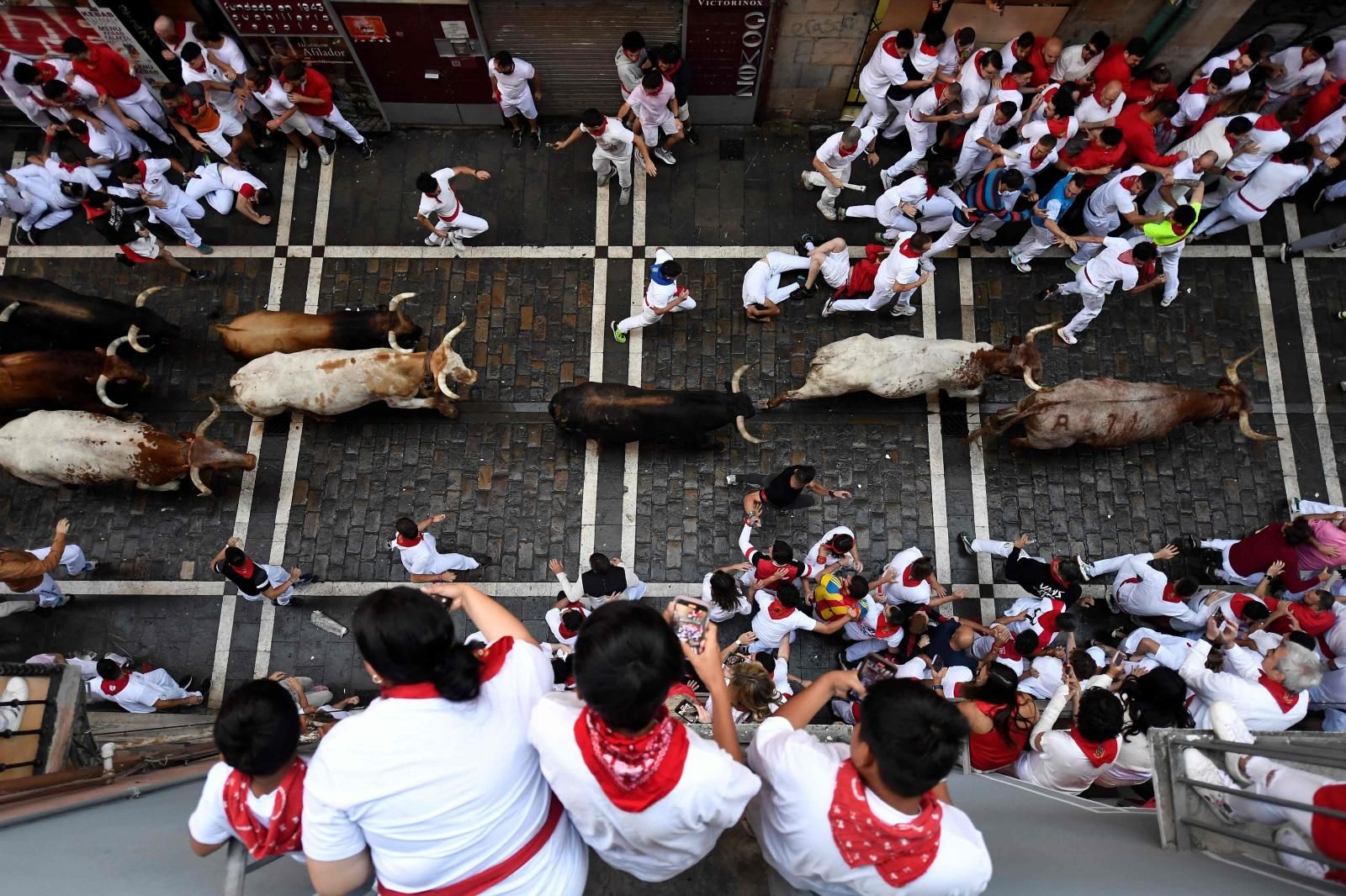 El tiempo de los encierros de los toros de La Palmosilla ha ido in crescendo. En su debut en 2019 pararon el cronómetro en 2 minutos y 12 segundos; en 2022 tardaron 9 segundos más y el pasado año protagonizaron su carrera más lenta hasta hoy, con 2 minutos y 31 segundos.