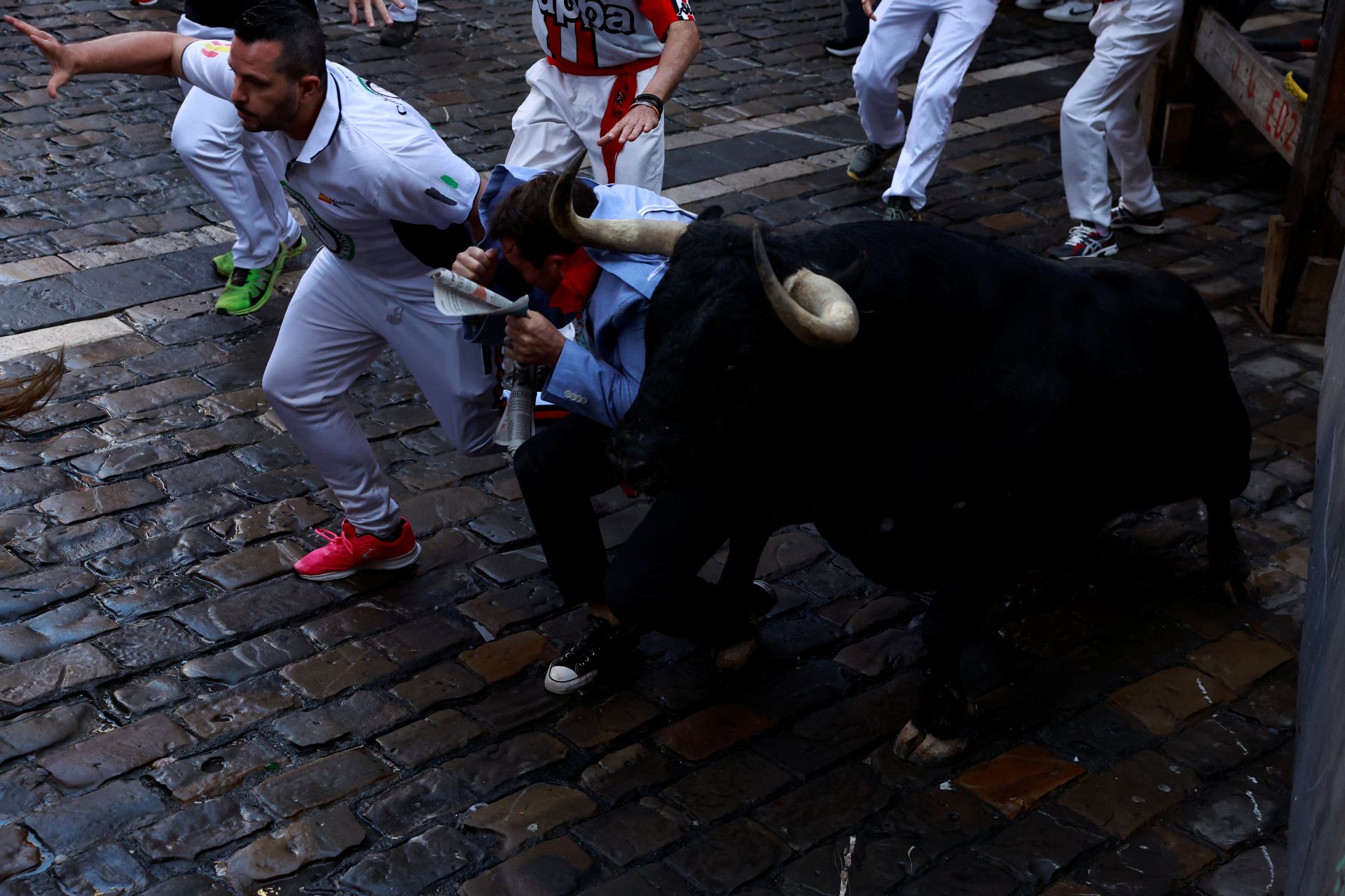 Es una ganadería variada de pelaje, con toros negros, ensabanados, salineros, colorados, castaños y sardos. Es una divisa en la que sus propietarios cuidan mucho el toro, con movilidad, pitones astifinos, íntegros. Por su comportamiento y seriedad no es ganadería del gusto de las figuras del toreo, pero deja vistosos encierros en Pamplona. De hecho es una de las ganaderías más peligrosas de la historia de los sanfermines.