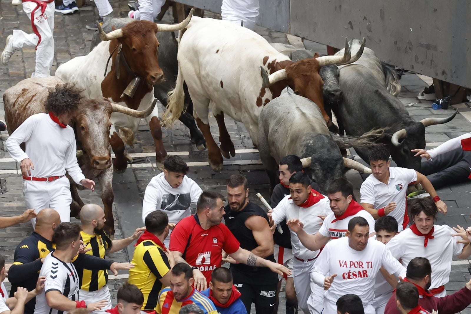 Los toros de José Escolar han protagonizado el séptimo encierro de las fiestas de San Fermín.