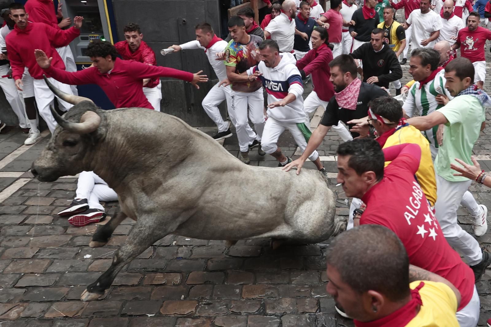 Uno de los cárdenos resbala durante el penúltimo encierro de San Fermín.