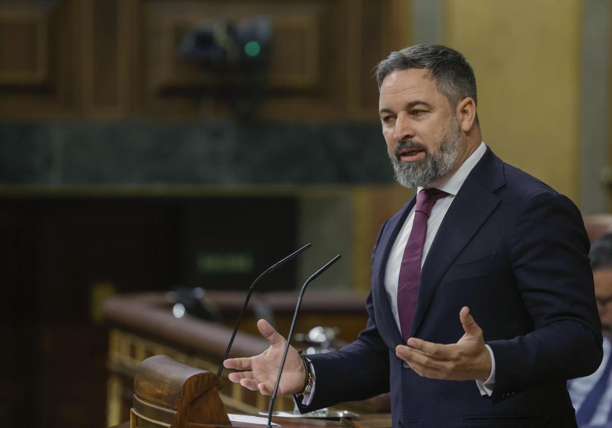 El líder de Vox, Santiago Abascal, en el Congreso de los Diputados