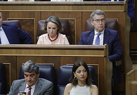 El líder del PP, Alberto Núñez Feijóo y la minsitra Sira Rego en sus escaños del Congreso.