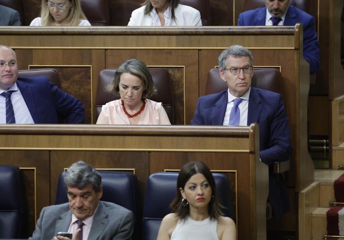 El líder del PP, Alberto Núñez Feijóo y la minsitra Sira Rego en sus escaños del Congreso.