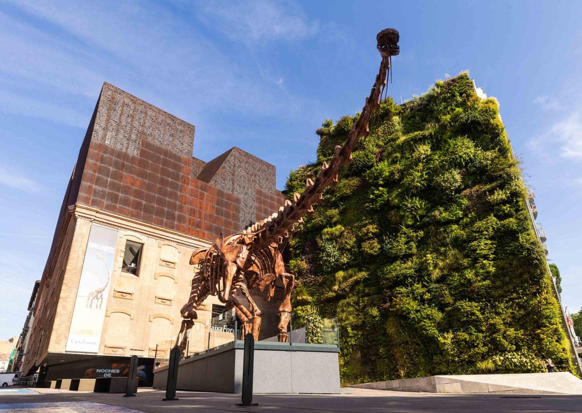 Imagen secundaria 1 - Algunas de las réplicas de la exposición 'Dinosaurios de la Patagonia' en CaixaForum Madrid.